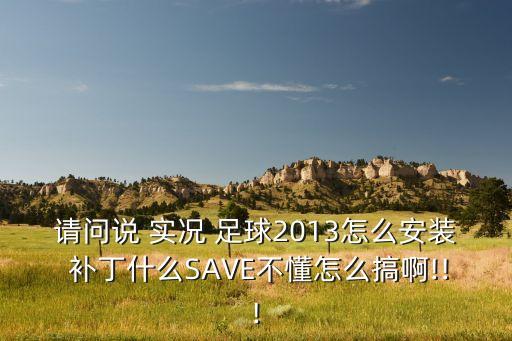 請問說 實況 足球2013怎么安裝 補丁什么SAVE不懂怎么搞啊!!!