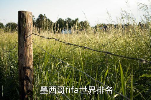  墨西哥fifa世界排名