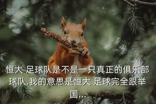 足球中恒大指什么,廣州恒大足球什么水平