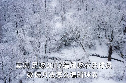 實況足球2017 轉(zhuǎn)會技巧