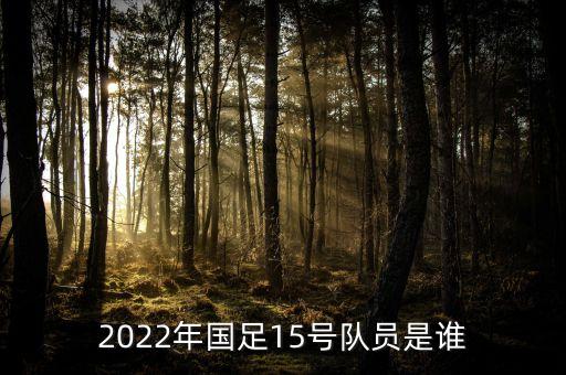 2022年國足15號隊員是誰