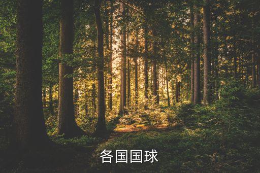 伊朗土耳其足球風(fēng)格,土耳其足球風(fēng)格特點(diǎn)