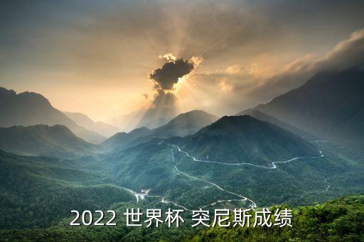 2022 世界杯 突尼斯成績(jī)