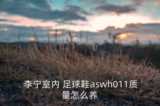  李寧室內(nèi) 足球鞋aswh011質(zhì)量怎么養(yǎng)