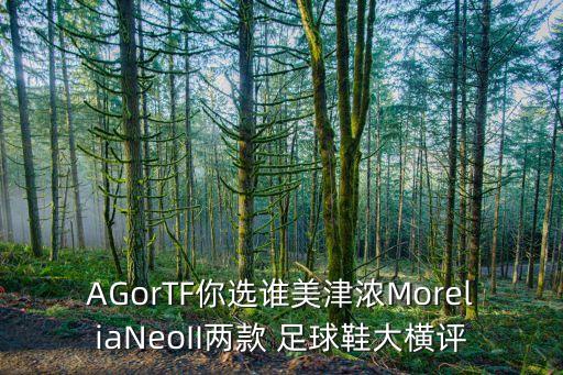 AGorTF你選誰美津濃MoreliaNeoII兩款 足球鞋大橫評(píng)