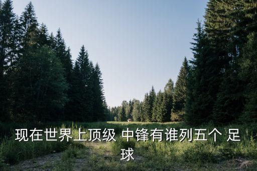 現(xiàn)在世界上頂級 中鋒有誰列五個 足球