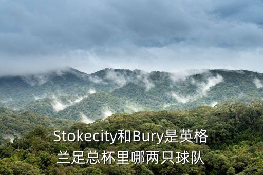 Stokecity和Bury是英格蘭足總杯里哪兩只球隊