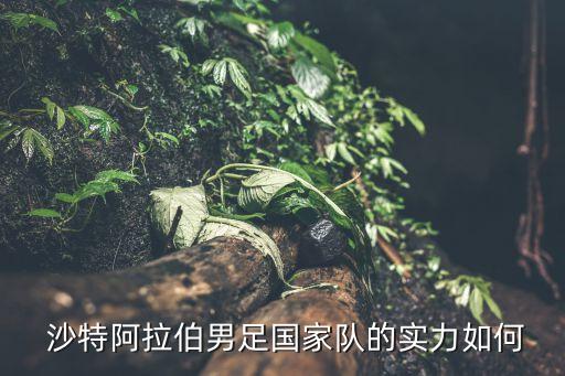  沙特阿拉伯男足國家隊(duì)的實(shí)力如何