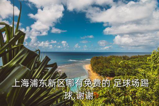  上海浦東新區(qū)哪有免費(fèi)的 足球場(chǎng)踢球,謝謝