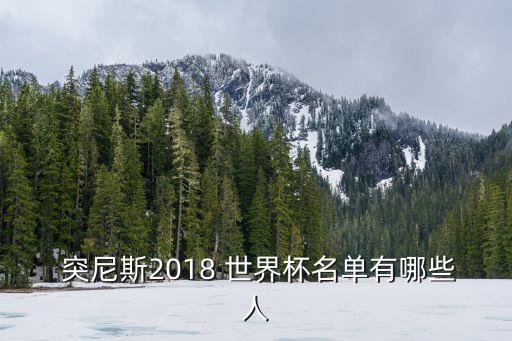  突尼斯2018 世界杯名單有哪些人