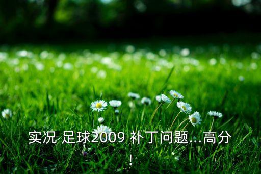 實況 足球2009 補(bǔ)丁問題…高分!