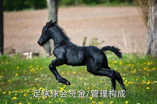 會員制足球俱樂部會員的權利,皇家馬德里足球俱樂部會員制