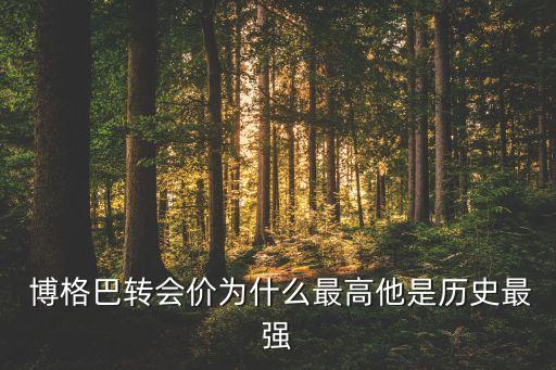  博格巴轉(zhuǎn)會(huì)價(jià)為什么最高他是歷史最強(qiáng)