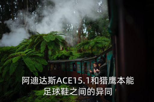  阿迪達斯ACE15.1和獵鷹本能 足球鞋之間的異同