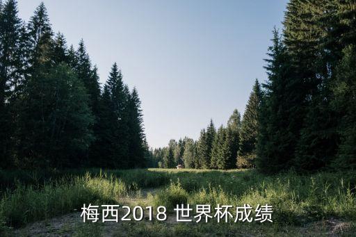 梅西2018 世界杯成績(jī)