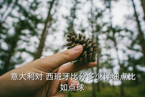  意大利對 西班牙比分多少詳細點比如點球