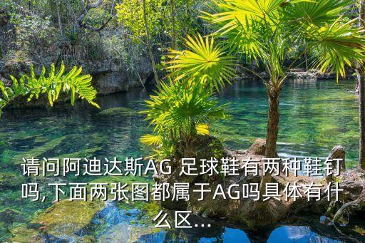 請問阿迪達斯AG 足球鞋有兩種鞋釘嗎,下面兩張圖都屬于AG嗎具體有什么區(qū)...