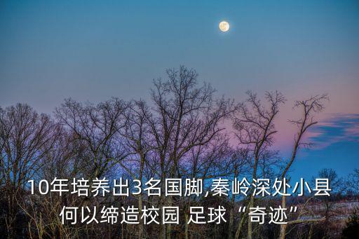 10年培養(yǎng)出3名國(guó)腳,秦嶺深處小縣何以締造校園 足球“奇跡”