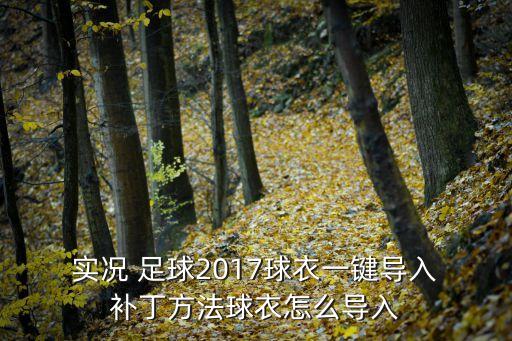  實(shí)況 足球2017球衣一鍵導(dǎo)入 補(bǔ)丁方法球衣怎么導(dǎo)入