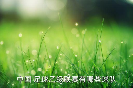 中國 足球乙級聯(lián)賽有哪些球隊