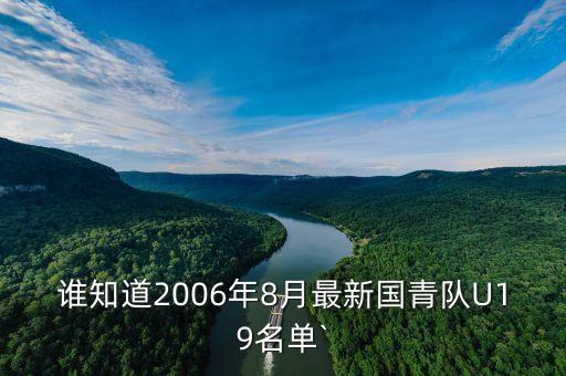 誰知道2006年8月最新國青隊(duì)U19名單`