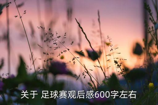 關于 足球賽觀后感600字左右