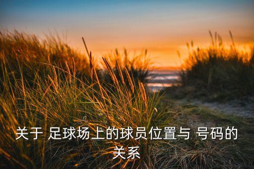 關(guān)于 足球場(chǎng)上的球員位置與 號(hào)碼的關(guān)系