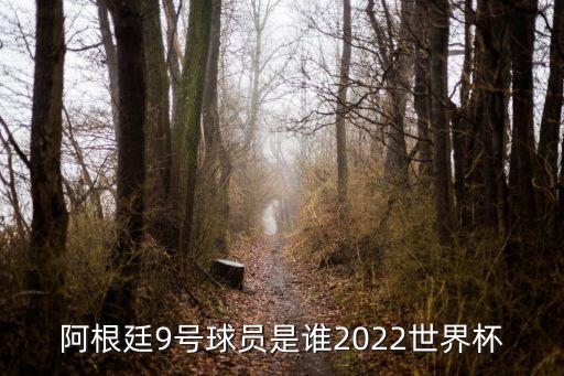 阿根廷9號球員是誰2022世界杯