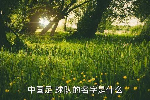 足球球隊(duì)中什么四個(gè)字,足球開(kāi)球球隊(duì)根據(jù)什么決定的