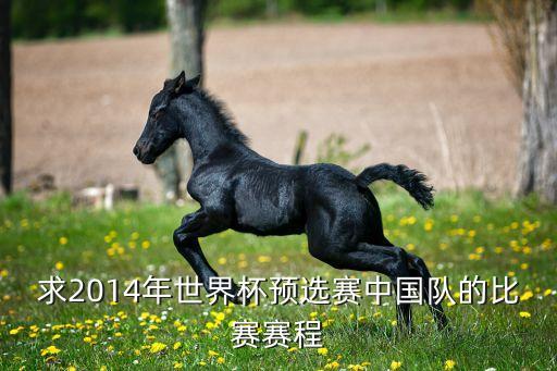 足球馬來西亞vs韓國,周杰倫馬來西亞演唱會足球