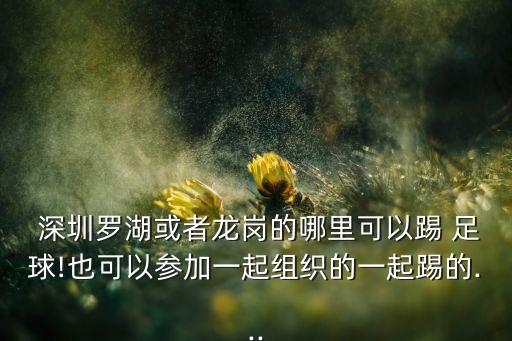  深圳羅湖或者龍崗的哪里可以踢 足球!也可以參加一起組織的一起踢的...