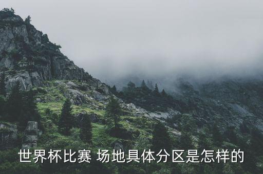 世界杯比賽 場(chǎng)地具體分區(qū)是怎樣的