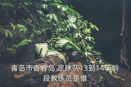 中山恒泰足球隊,中山鑫恒泰有限公司