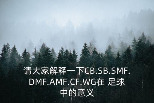 請(qǐng)大家解釋一下CB.SB.SMF.DMF.AMF.CF.WG在 足球中的意義