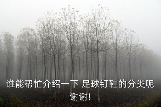 誰能幫忙介紹一下 足球釘鞋的分類呢謝謝!