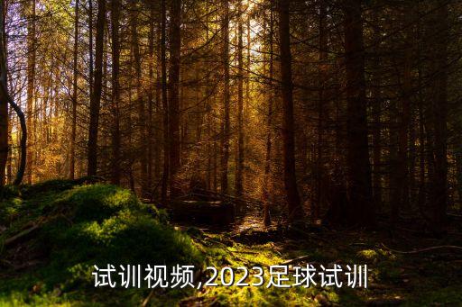 足球試訓(xùn)視頻,2023足球試訓(xùn)