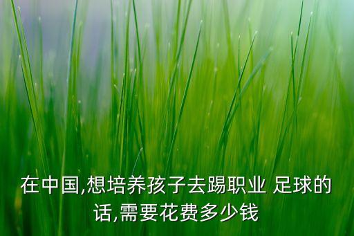 在中國(guó),想培養(yǎng)孩子去踢職業(yè) 足球的話,需要花費(fèi)多少錢