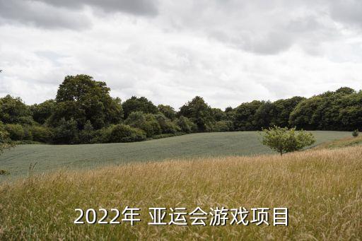 2022年 亞運(yùn)會(huì)游戲項(xiàng)目