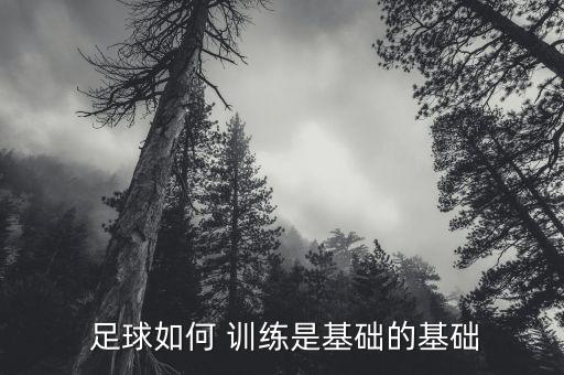  足球如何 訓(xùn)練是基礎(chǔ)的基礎(chǔ)