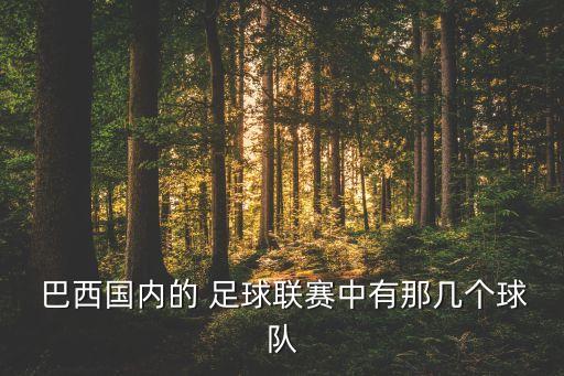  巴西國(guó)內(nèi)的 足球聯(lián)賽中有那幾個(gè)球隊(duì)