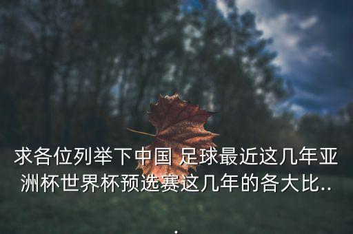 足球比賽中國巴勒斯坦