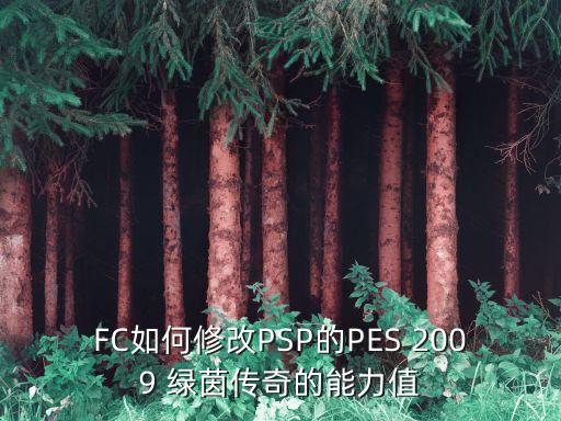 FC如何修改PSP的PES 2009 綠茵傳奇的能力值