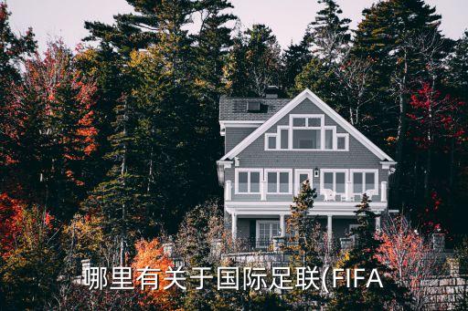 哪里有關(guān)于國(guó)際足聯(lián)(FIFA