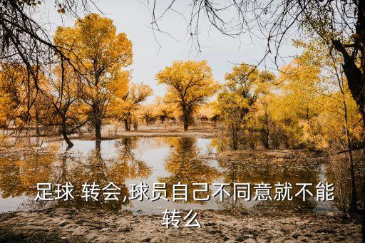 足球轉(zhuǎn)會禁止,2022足球轉(zhuǎn)會