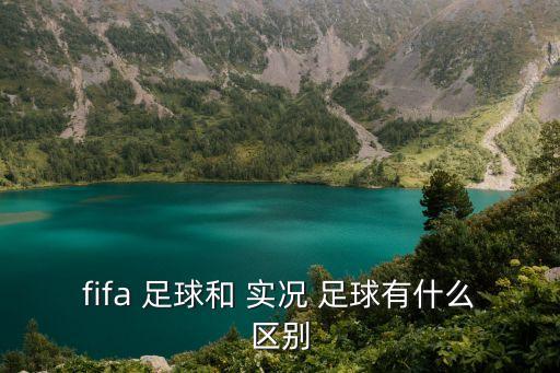 fifa 足球和 實況 足球有什么區(qū)別