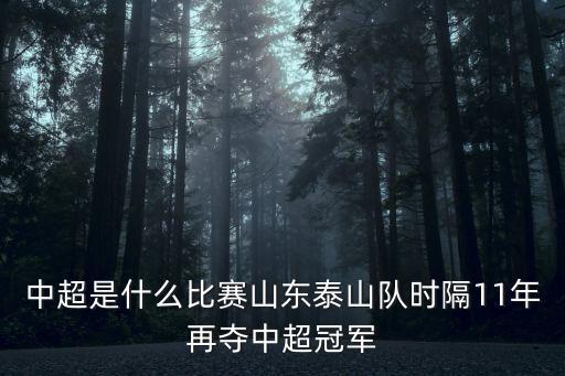 中超是什么比賽山東泰山隊時隔11年再奪中超冠軍