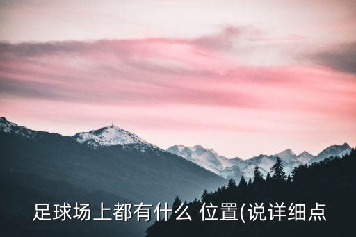  足球場上都有什么 位置(說詳細(xì)點(diǎn)