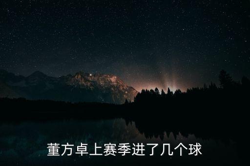 董方卓上賽季進(jìn)了幾個球