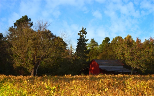 哈德斯菲爾德和曼聯(lián)哪個強(qiáng),香川真司加盟曼聯(lián)但曼聯(lián)陣容比較強(qiáng)