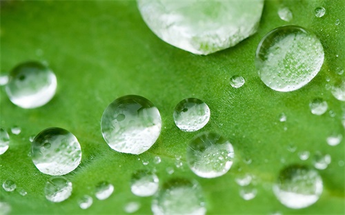 朱芳雨在哪個球隊(duì),中國籃球女將朱芳雨08奧賽奪冠